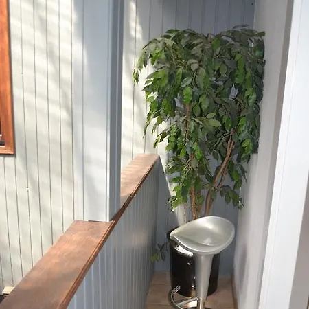 施耐德度假屋 * 灵斯海姆