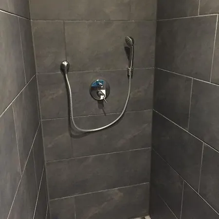 施耐德度假屋 * 灵斯海姆