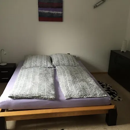 施耐德度假屋 * 灵斯海姆